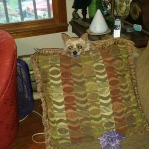 Meet your Posher, Doreen